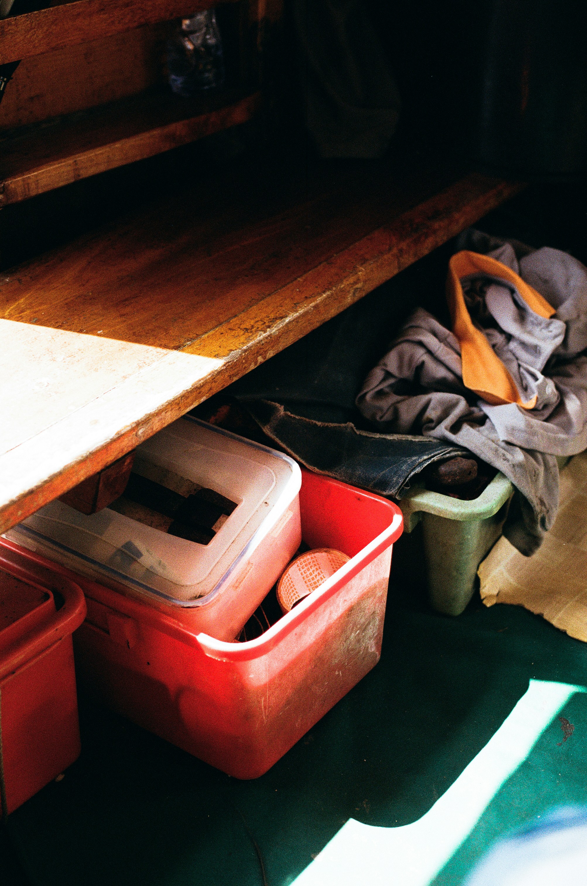 Photo by lysanderyuen