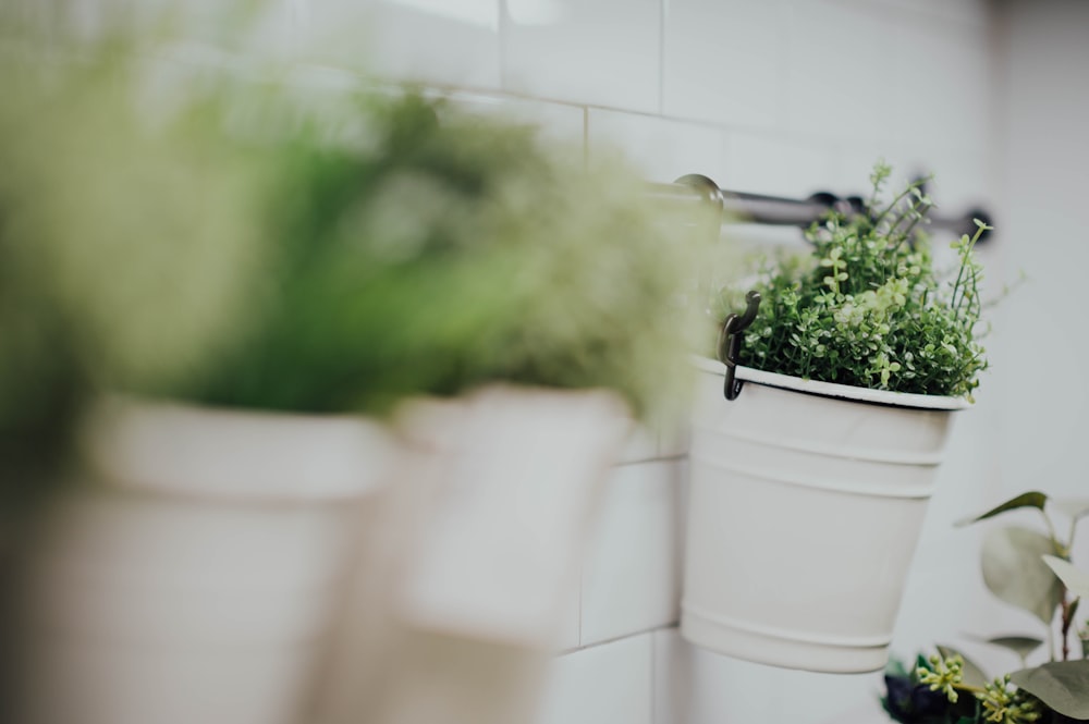 white steel bucket pot