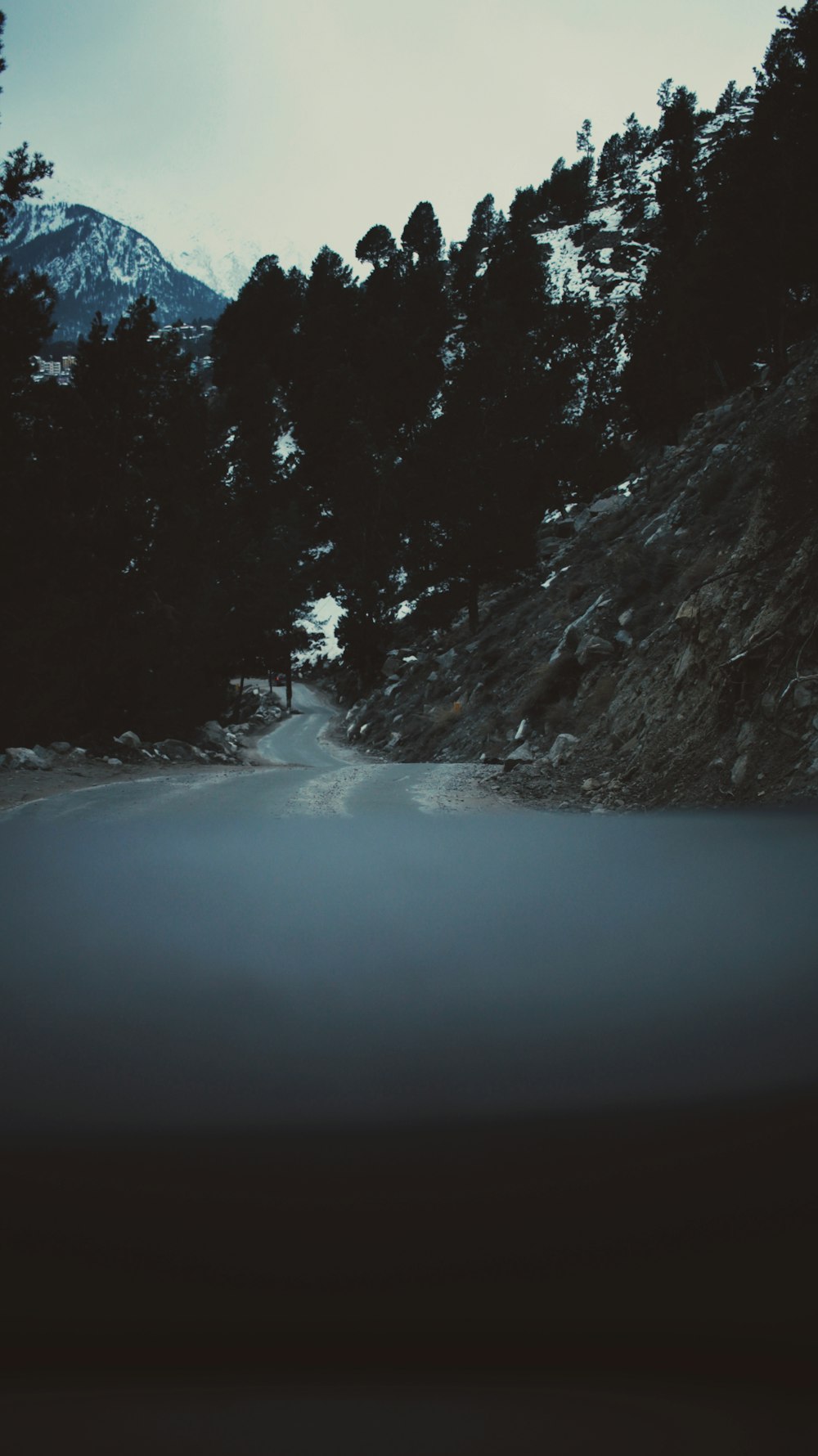 concrete road between forest during daytime