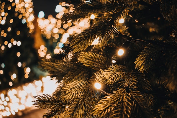 A Christmas tree decorated with white lights