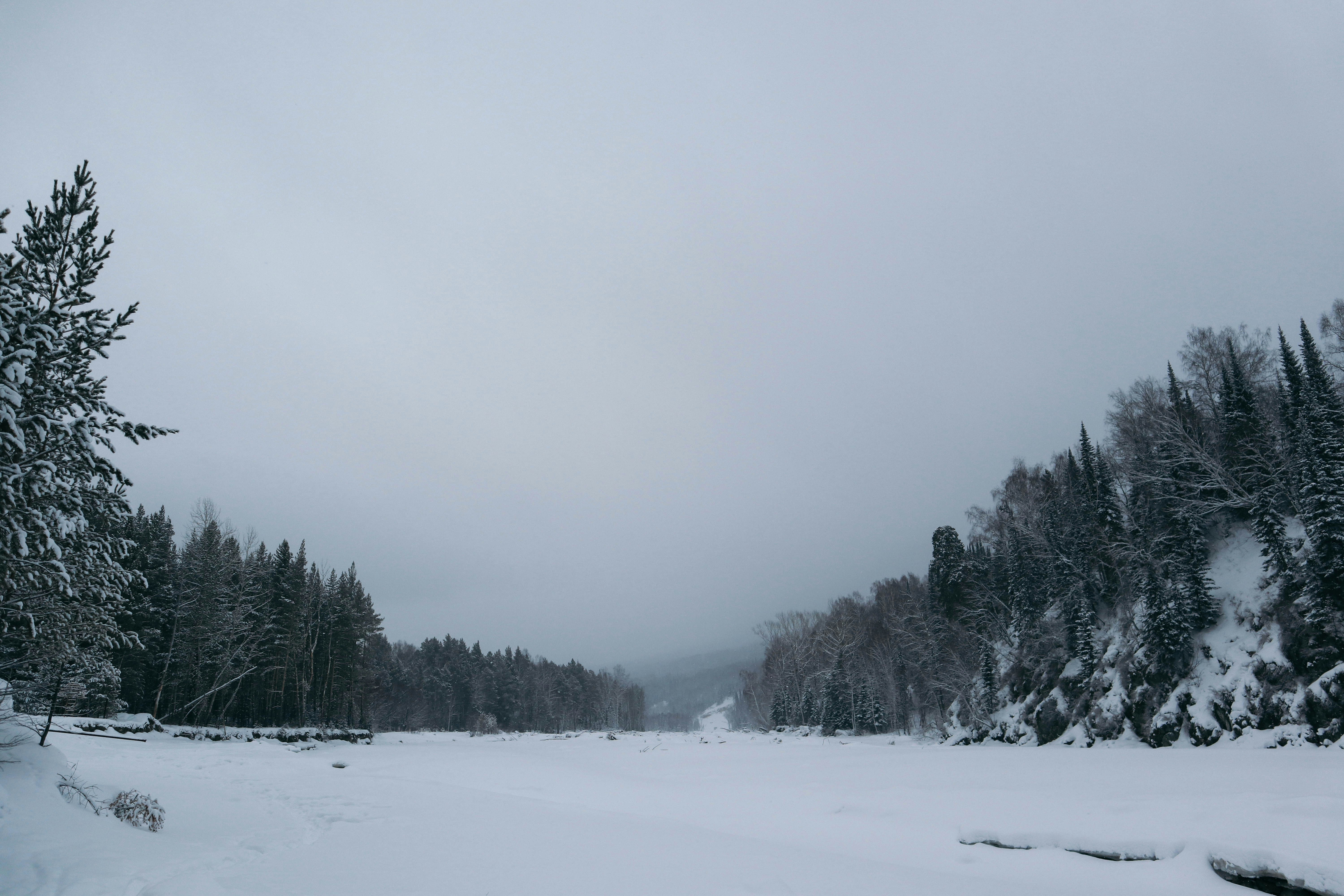 Photo by andrew_kosobokov