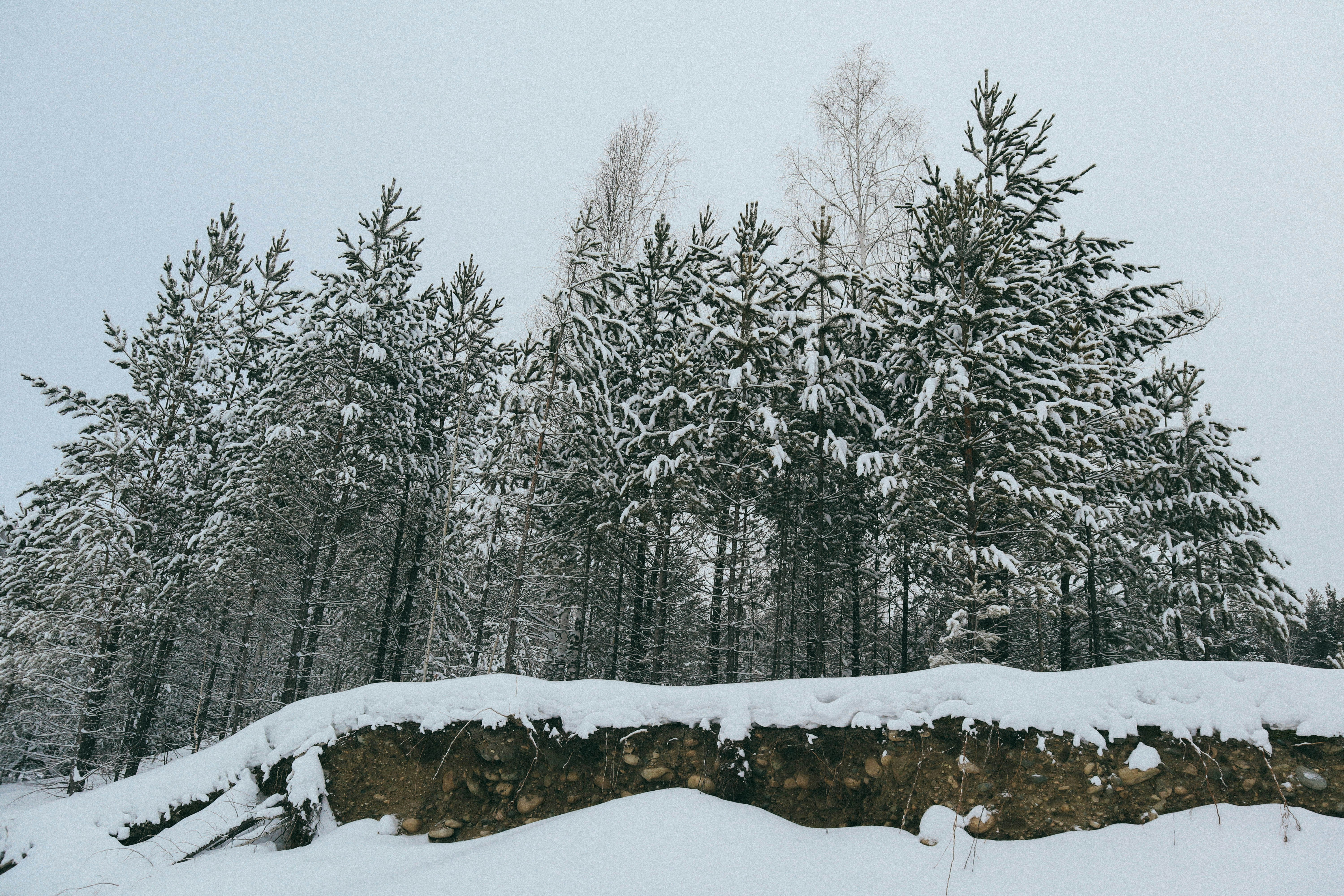 Photo by andrew_kosobokov