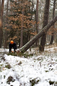 man cutting brown tree during daytime