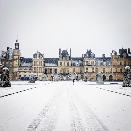 people in front of gray and black building in Palace of Fontainebleau France