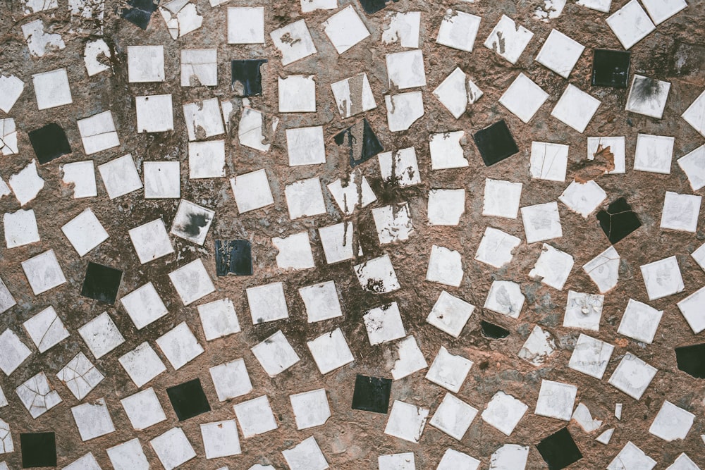 aerial photography of white and black houses