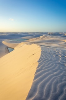 gold and dark sand dunes