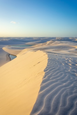 gold and dark sand dunes