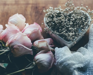 pink roses