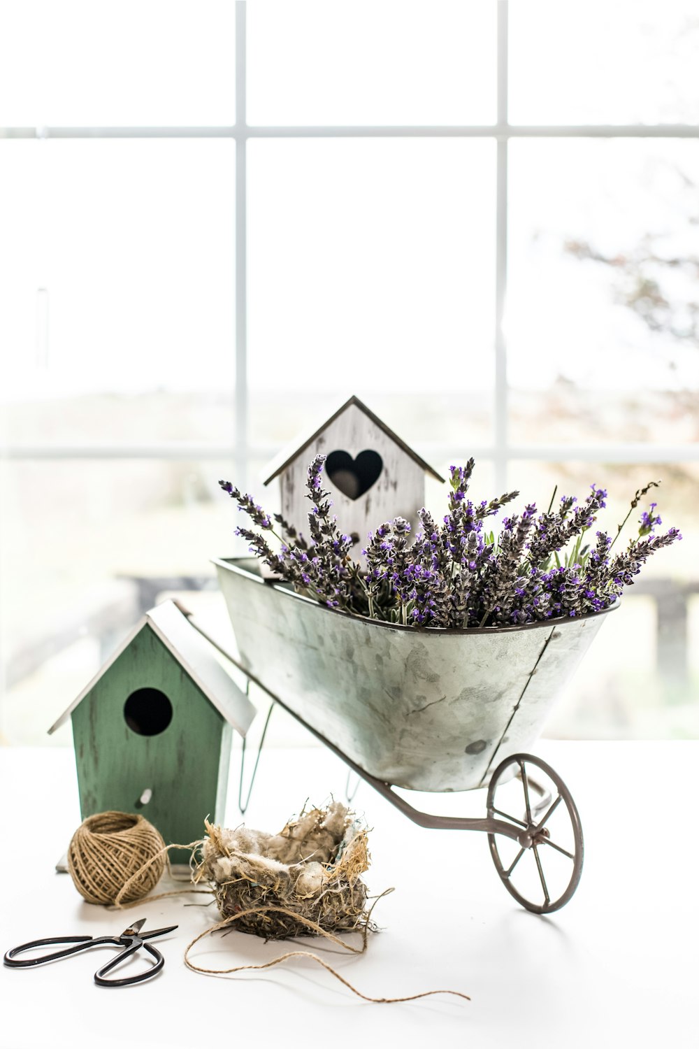 purple petaled flowers near white birdhouse on wheelbarrow