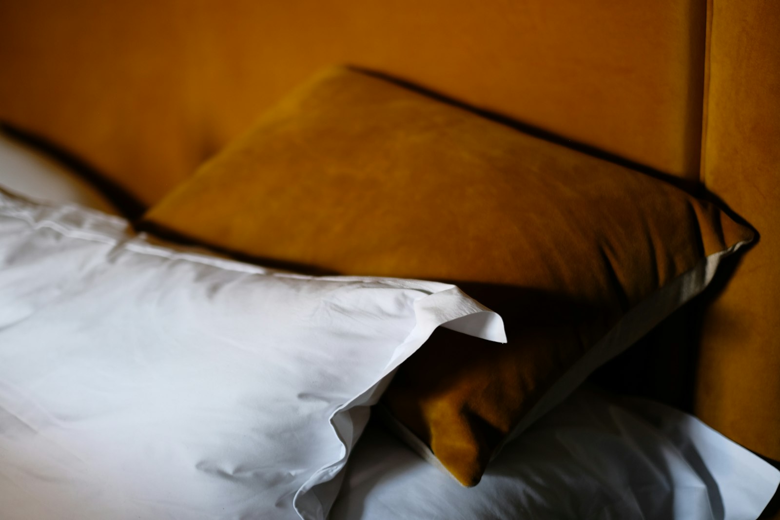 Fujifilm X-E3 + Fujifilm XF 35mm F1.4 R sample photo. Brown throw pillow photography