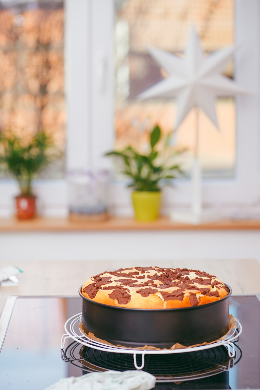 baked pie on pan