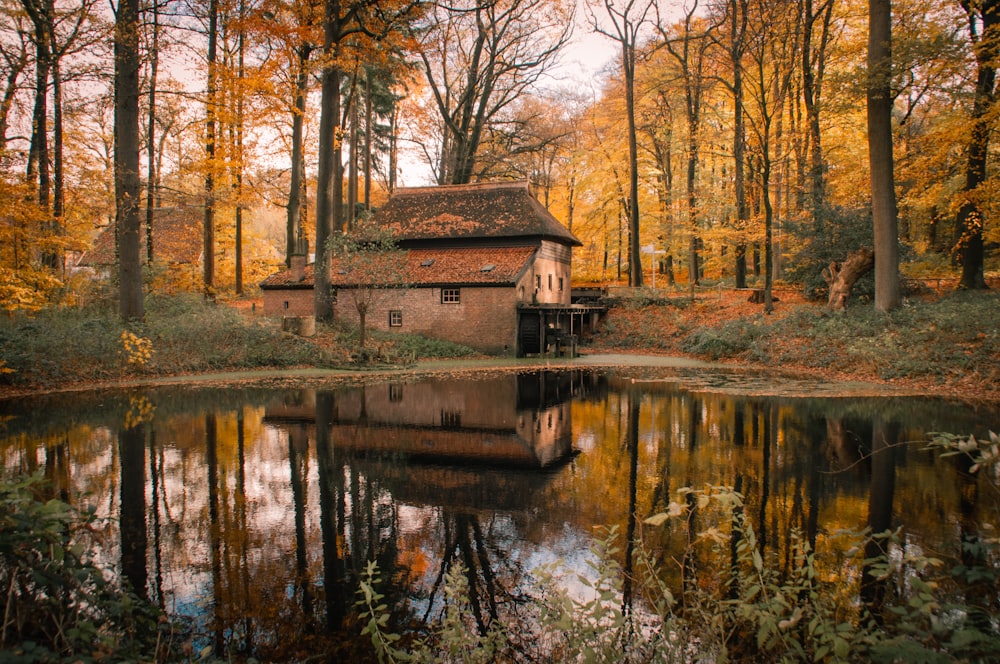 brown painted house surrounding trees