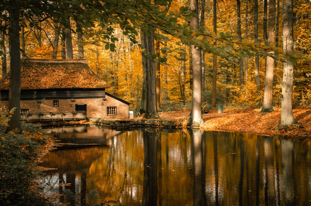 Braunes Haus neben ruhigem Gewässer