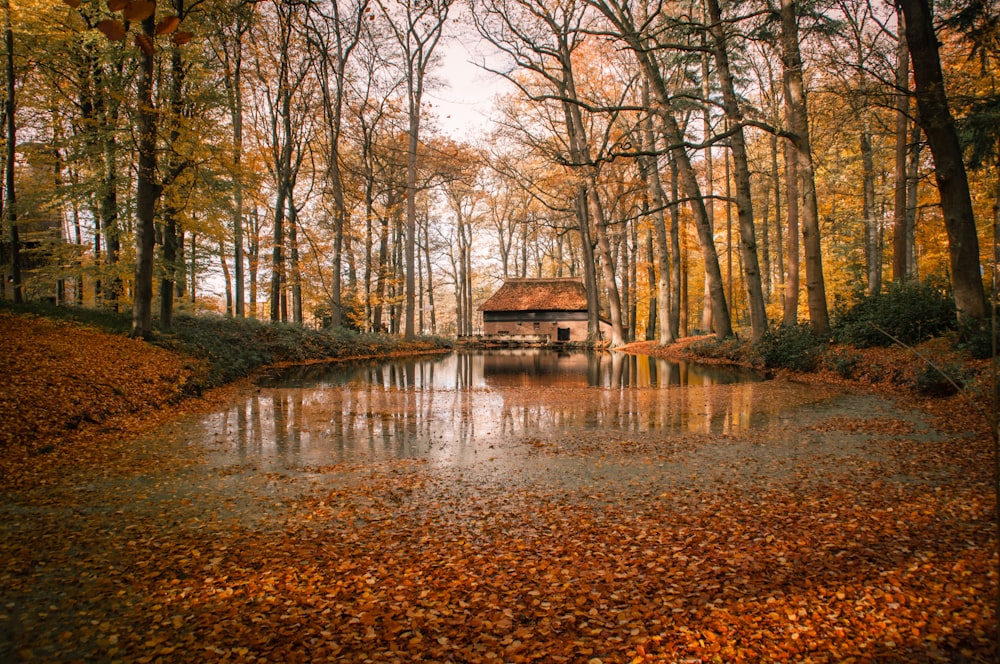 selective focus photography of brown house