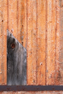 Close-up of rustic wooden door with wrought iron details and earthy tones
