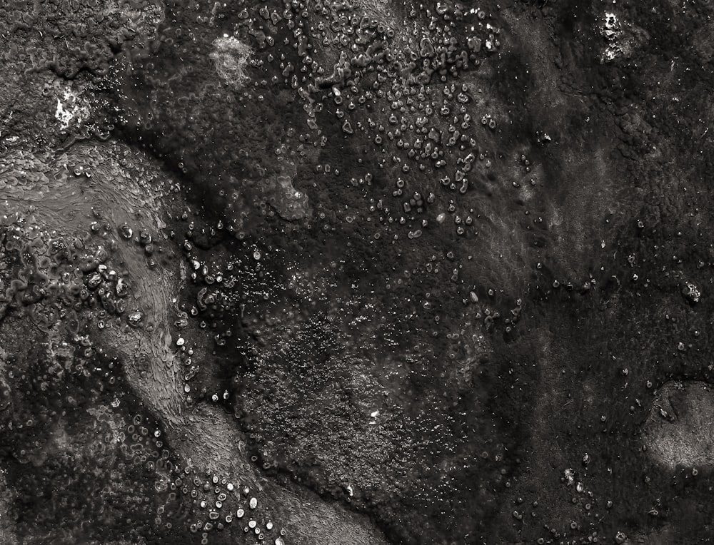 a black and white photo of dirt and rocks