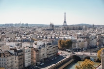A panoramic view of a cityscape featuring iconic landmarks. The Eiffel Tower rises prominently in the background, surrounded by historical buildings and urban structures. A river flows through the scene with several bridges crossing it, lined with trees showing autumn colors.