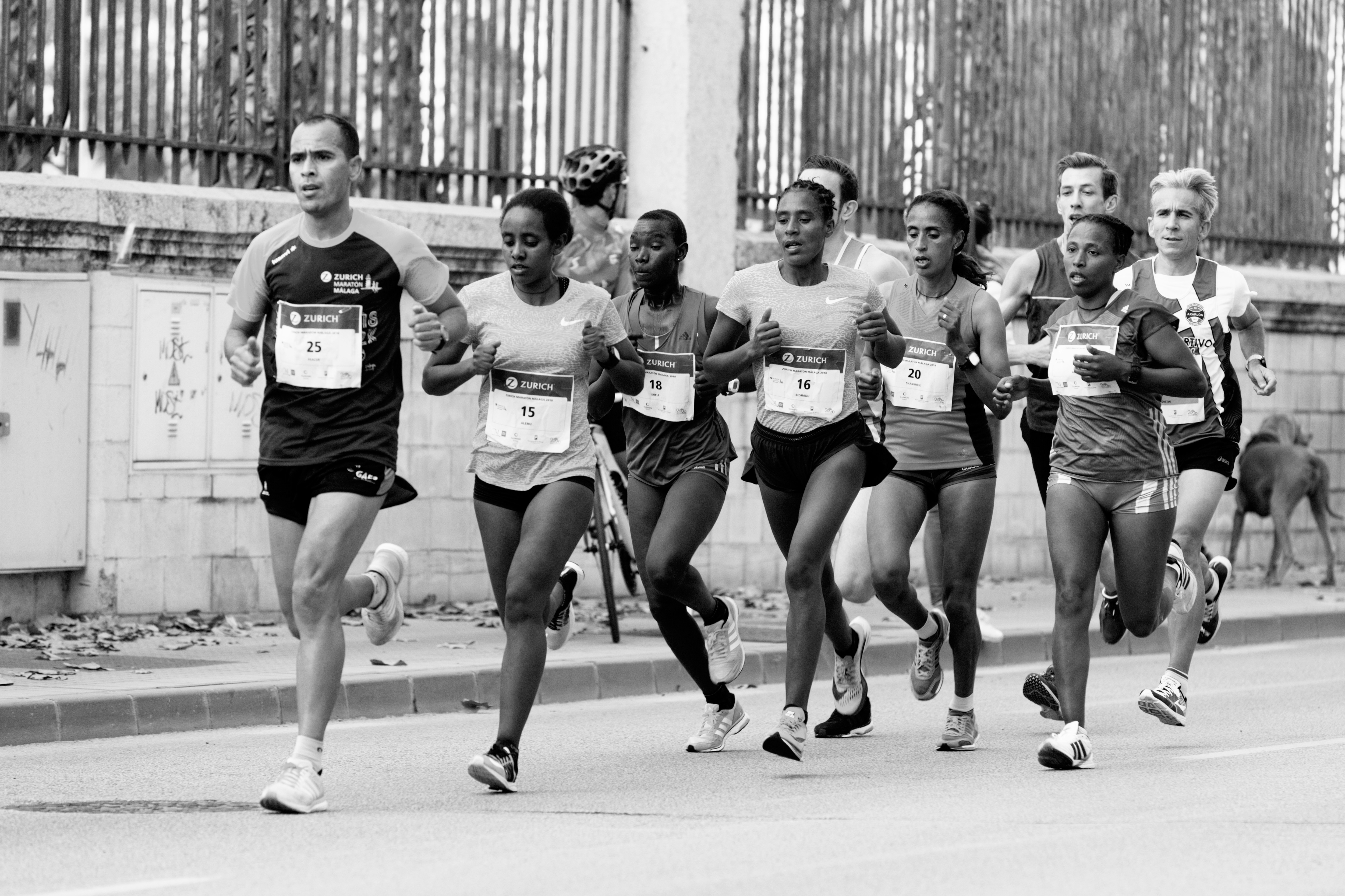 Maratonianas corriendo la Maratón de Málaga 2018 a su paso por El Paseo de los Curas.
