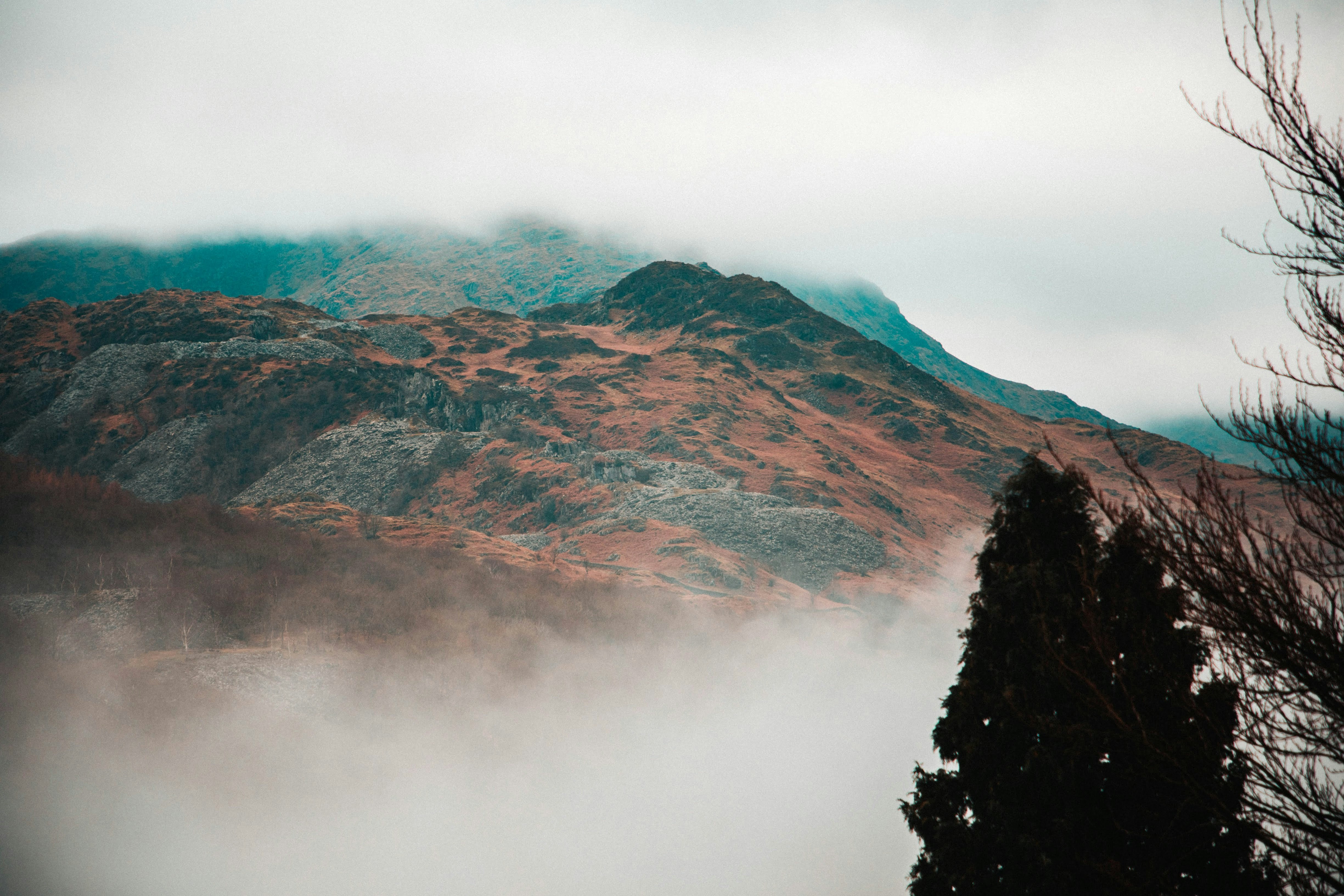 Photo by moorecreative