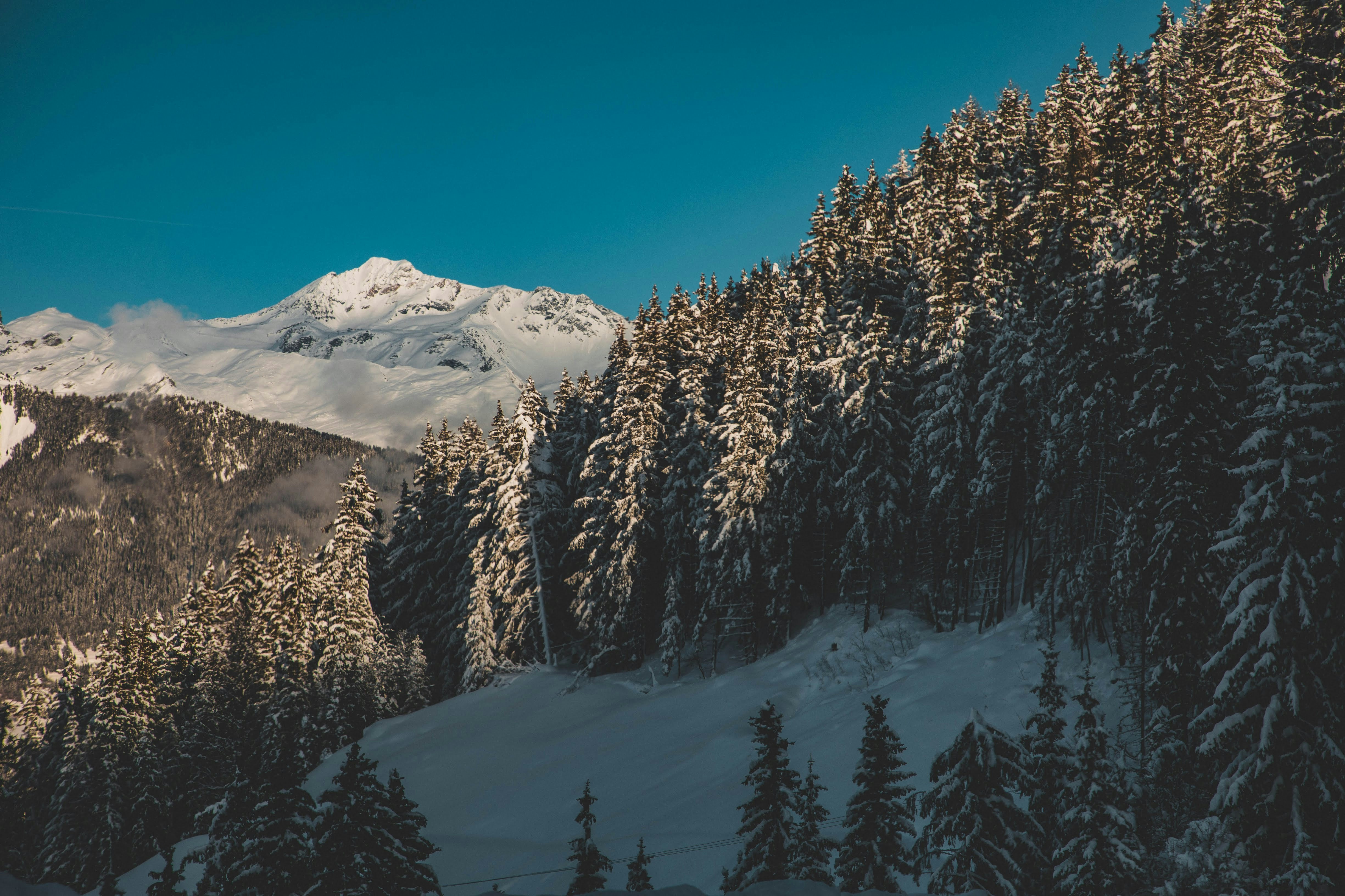 Photo by moorecreative