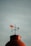 A metal weather vane sits atop a rounded structure, silhouetted against a cloudy sky. The weather vane features an arrow and directional letters (N, E, S, W) to indicate wind direction.