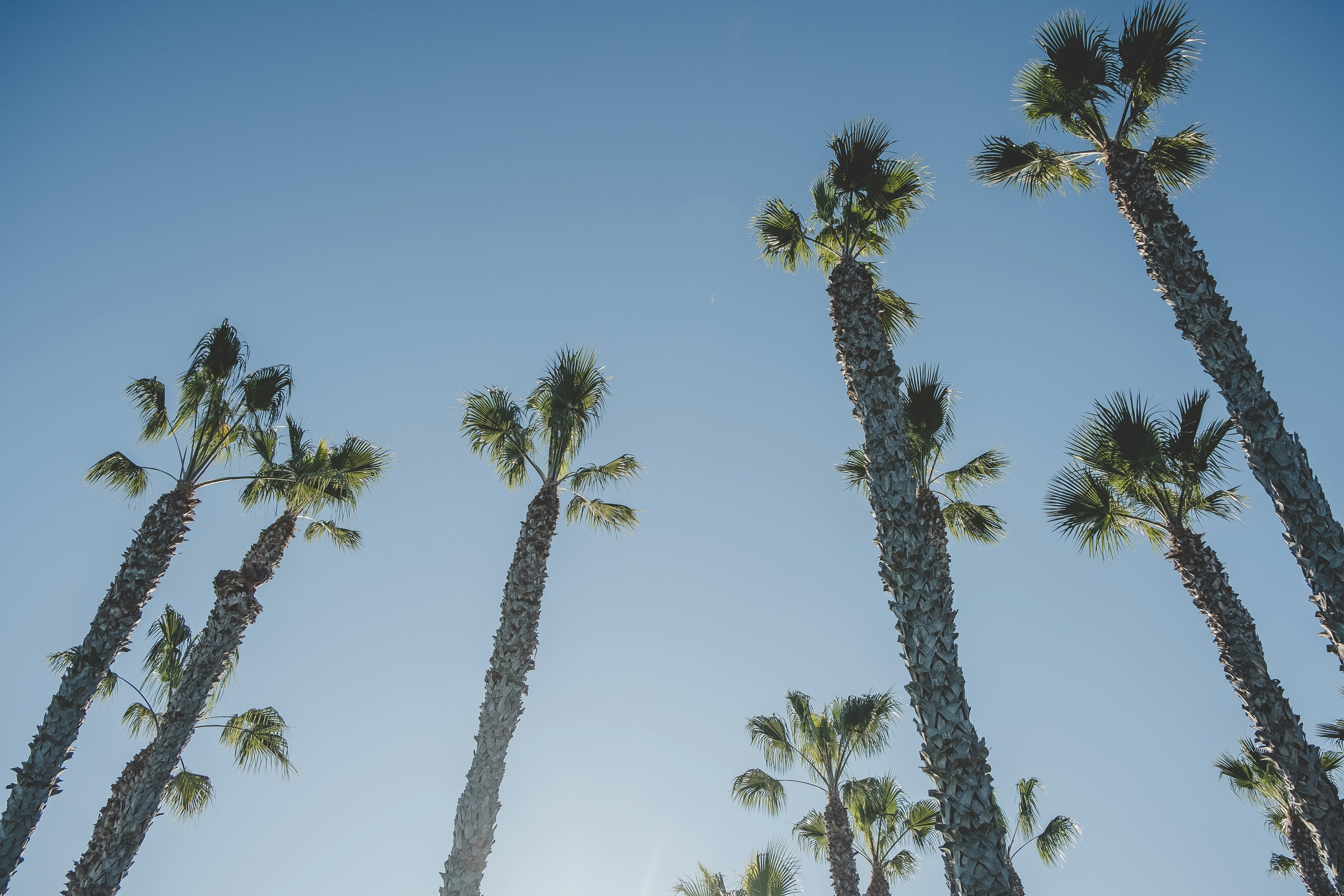 Photo by andrejackson