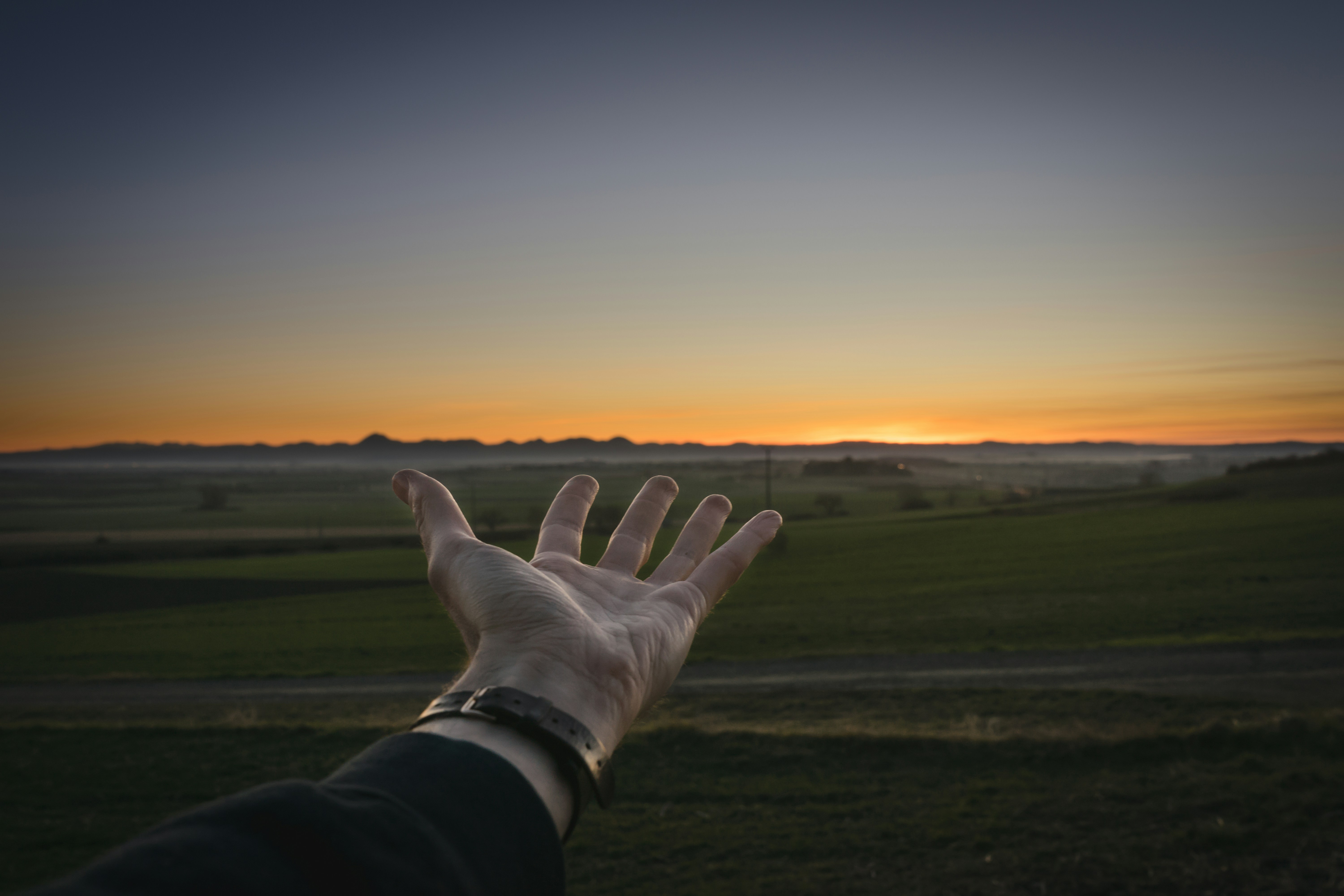person with left hand open during golden hour