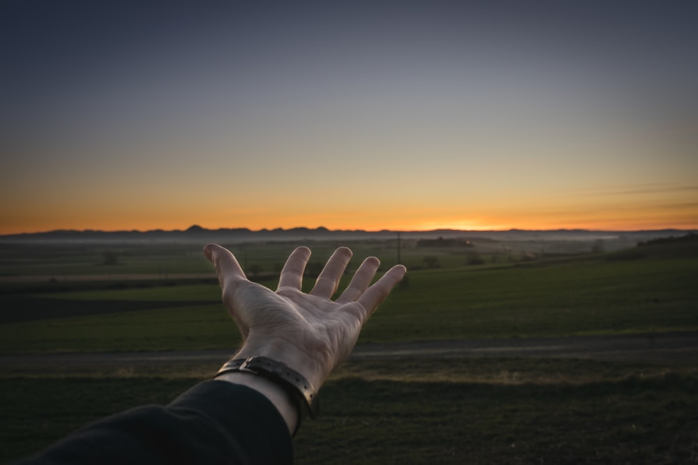 person with left hand open during golden hour