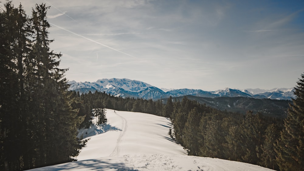 white snow path