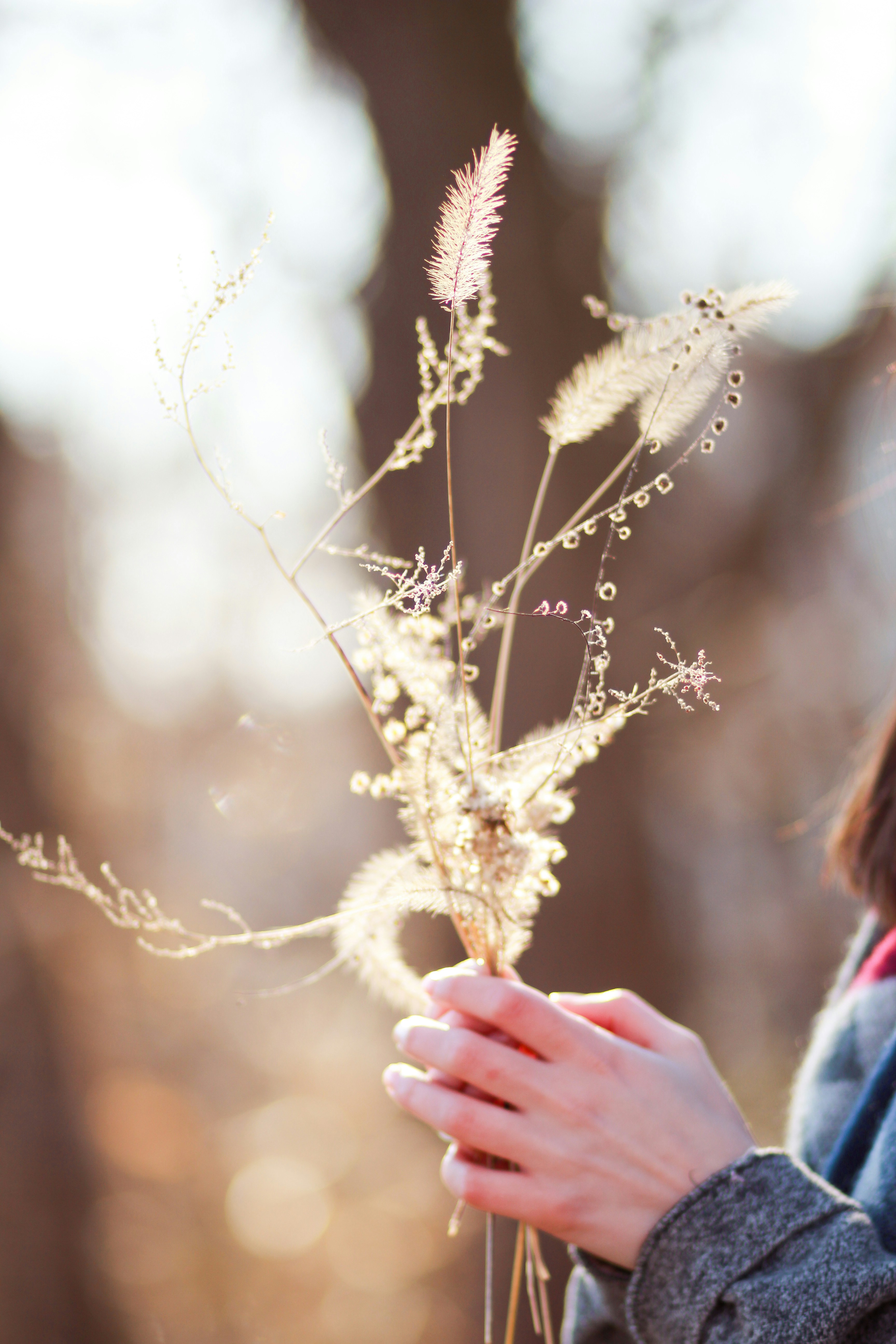 Photo by meghanschiereck