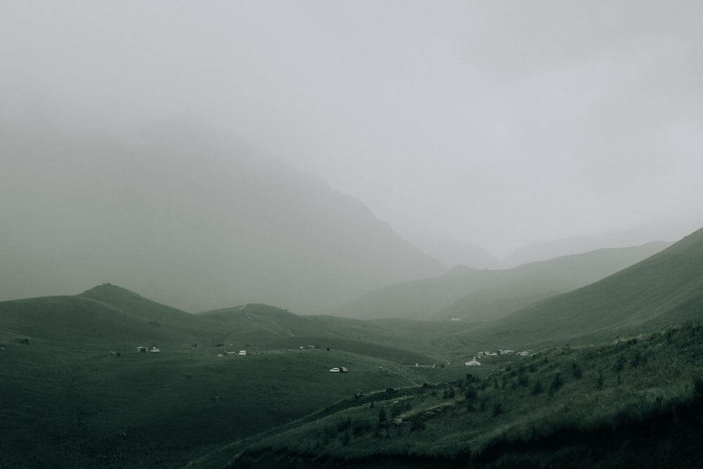 green trees on mountain