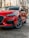 red car under tree