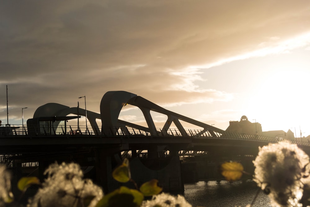 Pont en arc gris pendant l’heure dorée