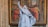 A marble statue of a religious figure is prominently displayed in front of a large painting. The statue portrays a person in flowing robes with one arm raised. The painting behind depicts a biblical scene with multiple figures dressed in historical attire, standing in a grand architectural setting.