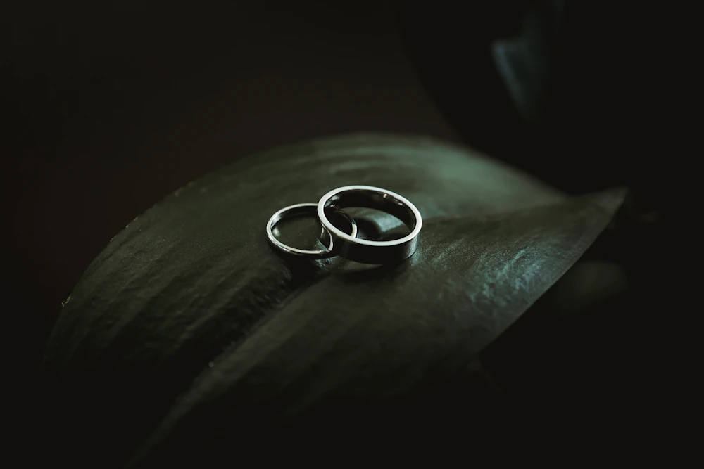 Two sculptural silver rings resting on a dark leaf
