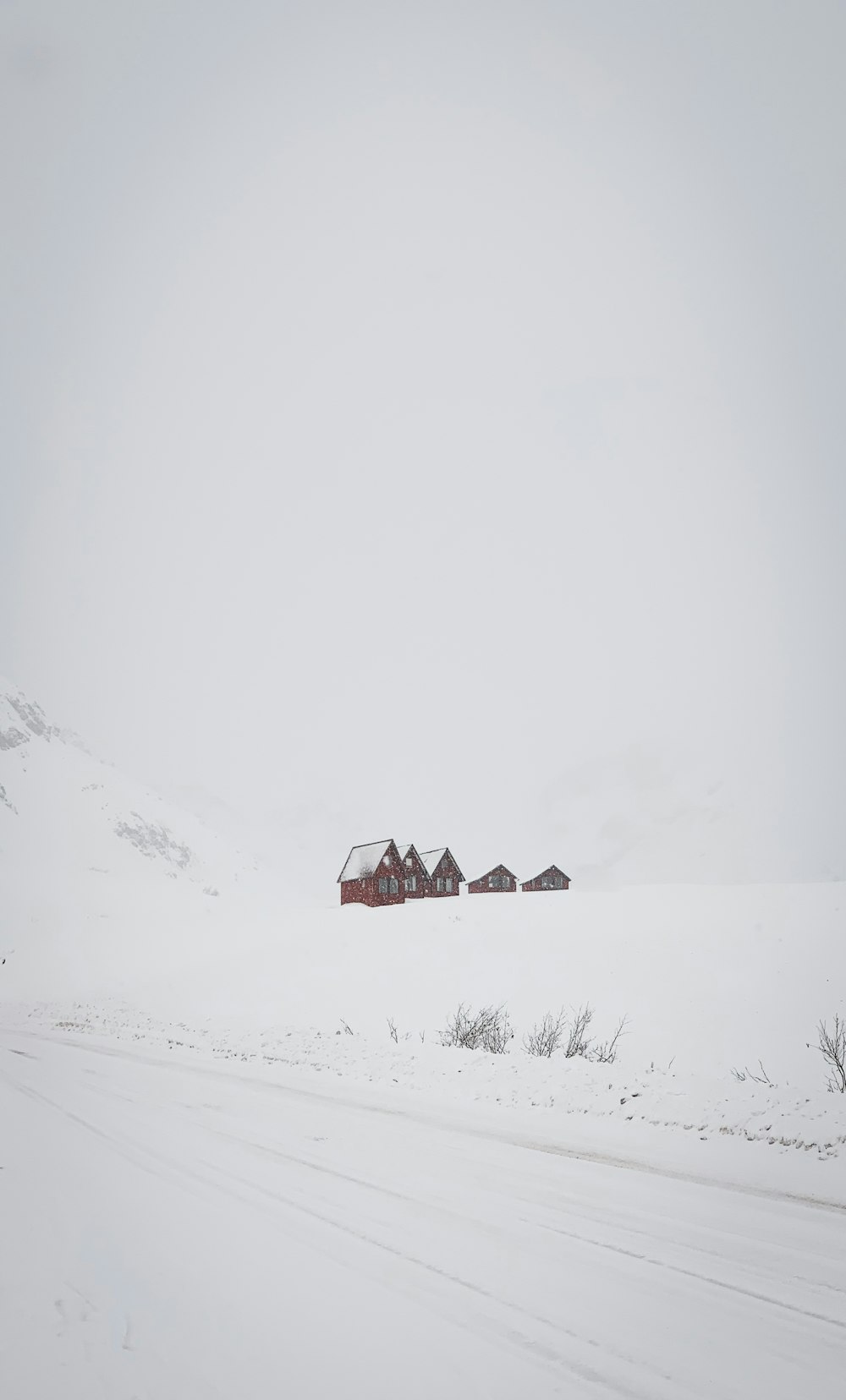 snow field