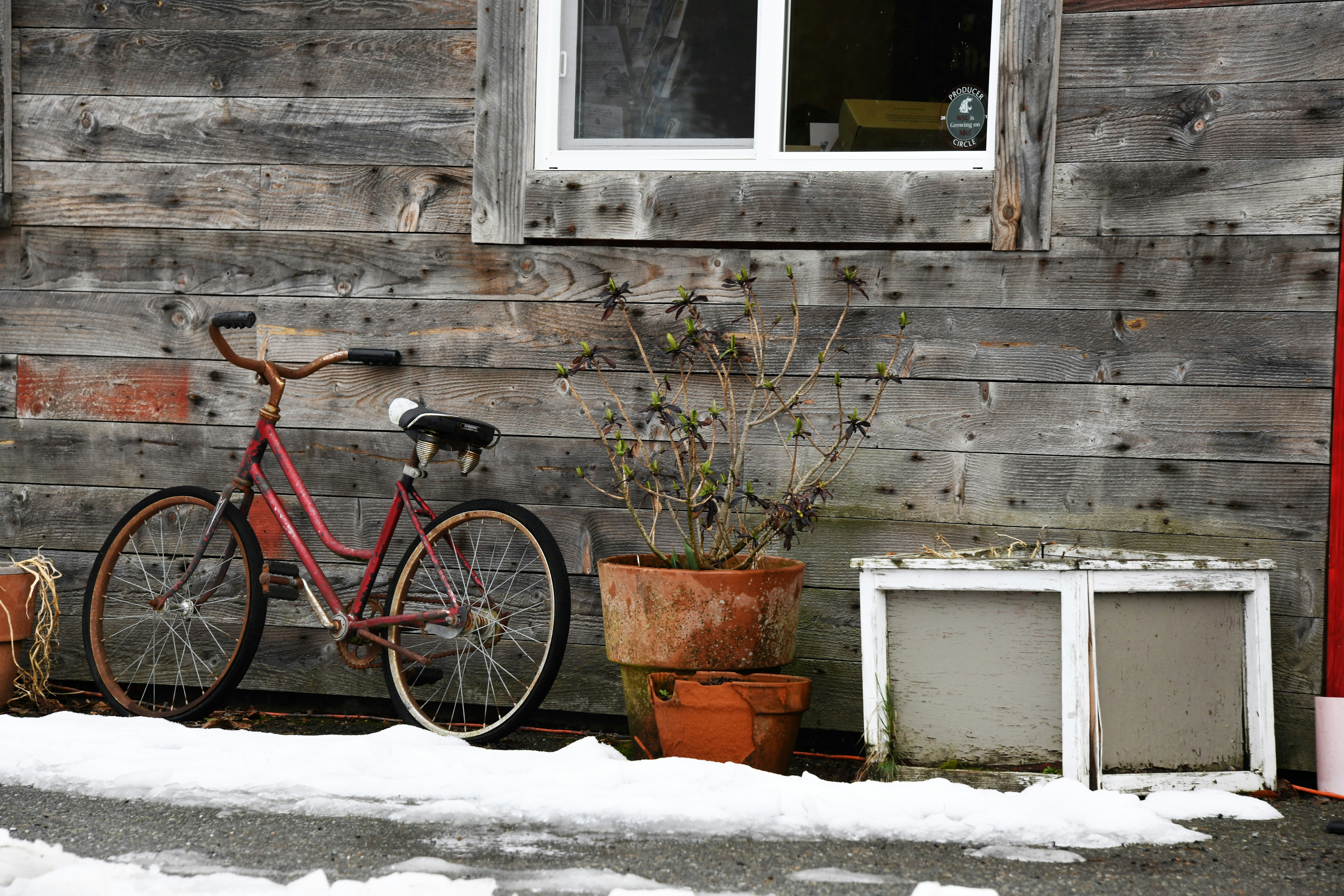 Photo by shelleypauls