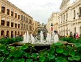 A lively plaza with a large central fountain surrounded by lush green lotus plants. The scene features ornate colonial-style buildings with arched windows and balconies. Many people are walking around, adding to the vibrant atmosphere.
