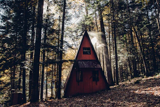 A warm, inviting A-frame cabin surrounded by tall pine trees under a soft sunset glow.