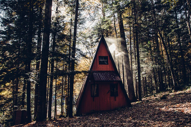 A cozy wooden cabin nestled among tall pine trees with soft morning light filtering through.