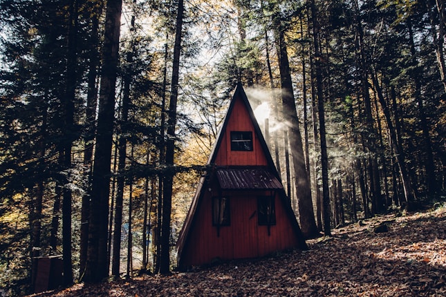 A quaint, A-frame cabin is nestled among tall pine trees in a forest. Sunlight filters through the branches, casting a gentle glow on the red-brown wood of the cabin. Leaves cover the ground, creating a rustic, natural setting.