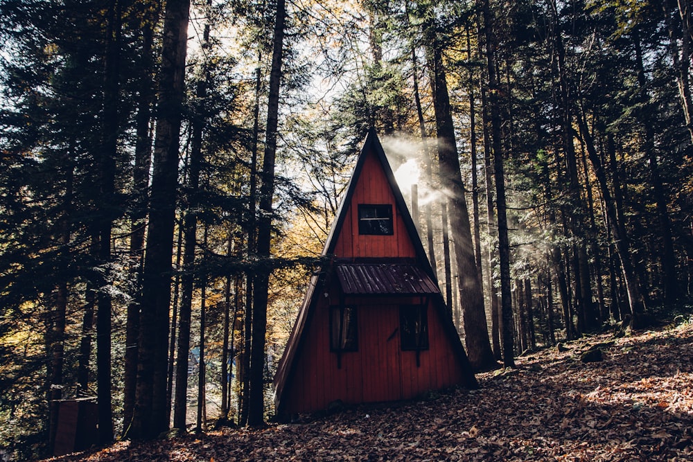 brown cabin in forest