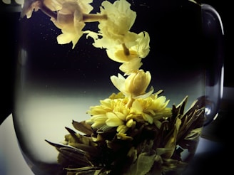 A close-up of vibrant herbal infusion flowers steeping in a clear glass teapot, showcasing natural colors.