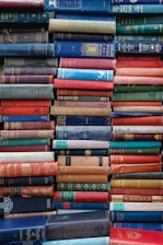 assorted-title book lot