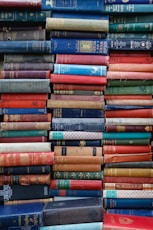 assorted-title book lot