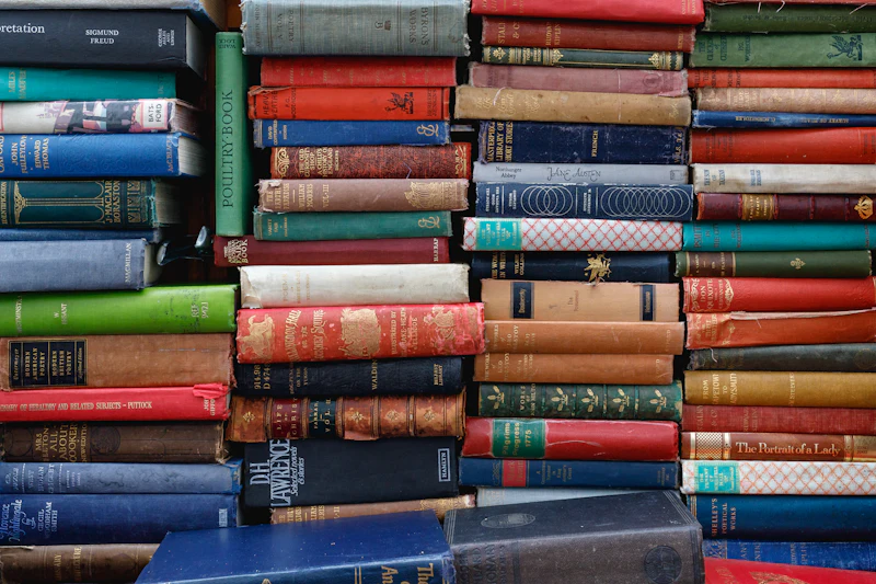 Stacked book spines in a shop
