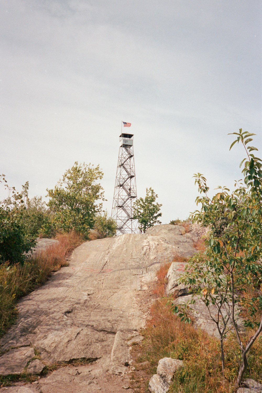 gray power tower near green plants