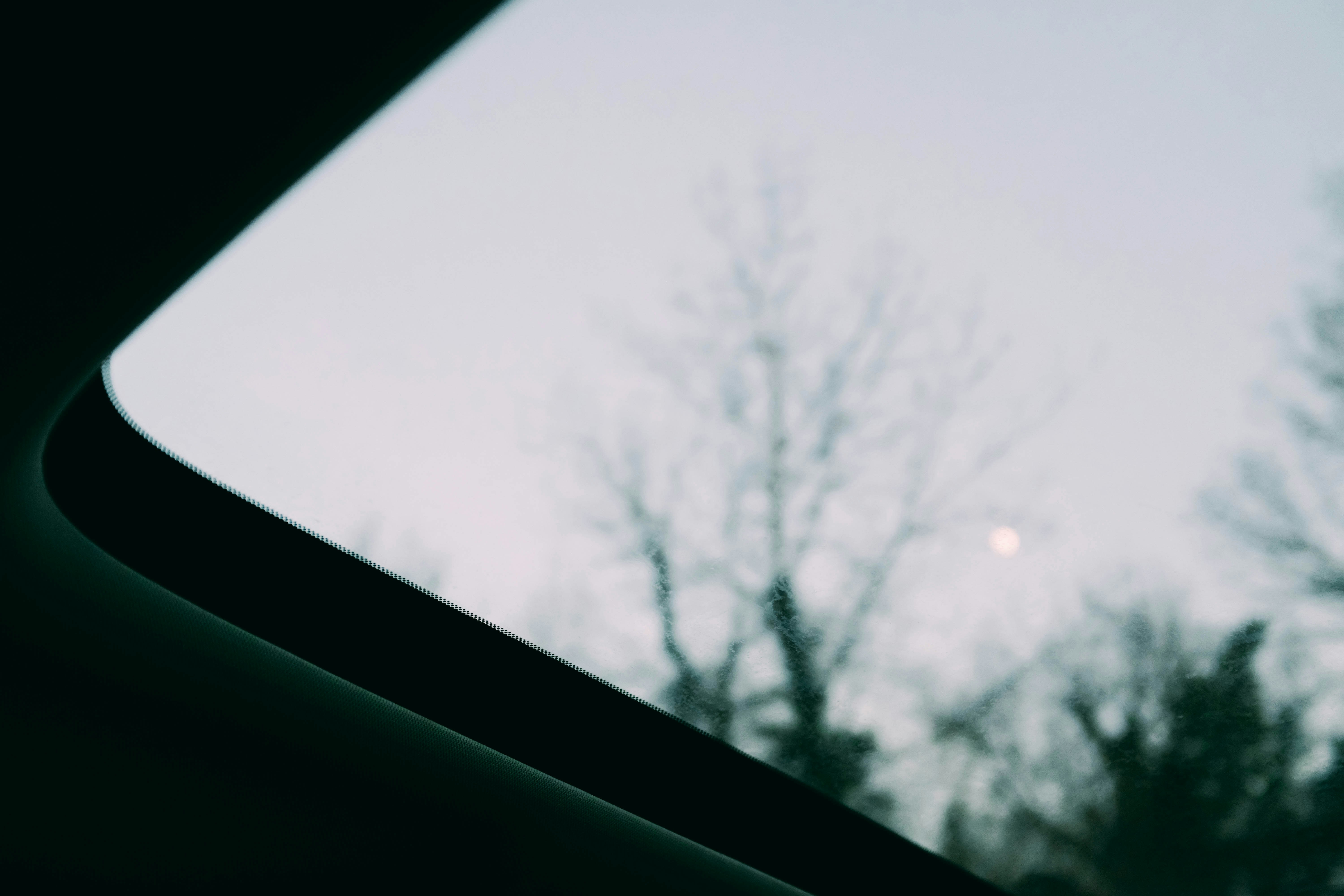 Photo by adrienolichon