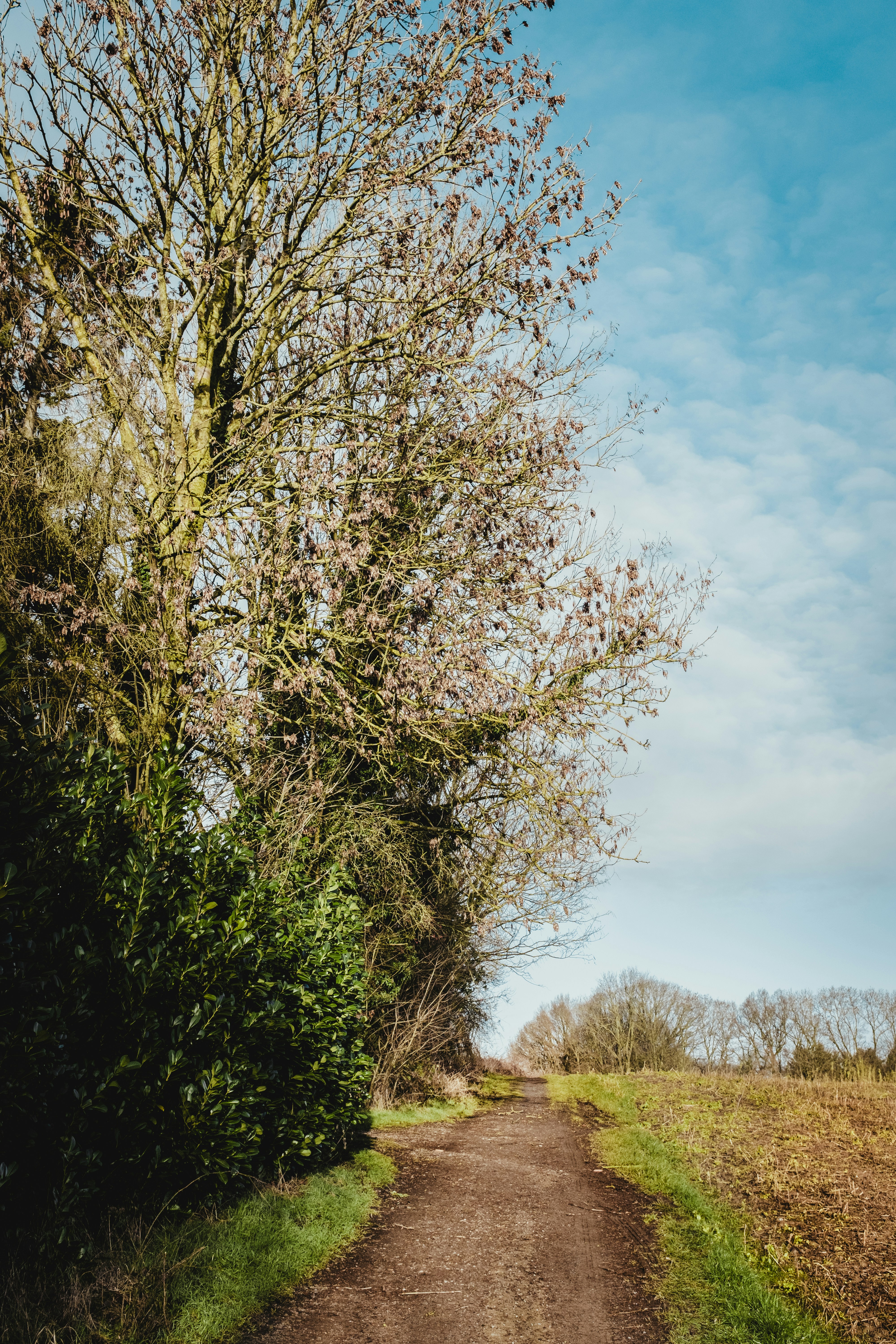 Photo by bernardhermant