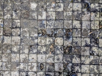 A close-up view of a wet, textured pavement composed of square tiles featuring circular patterns resembling tree rings. The pavement is worn and has patches of dark soil or debris between the tiles.